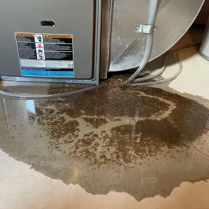 Appliance Leak Cleanup in Spirit Lake, ID